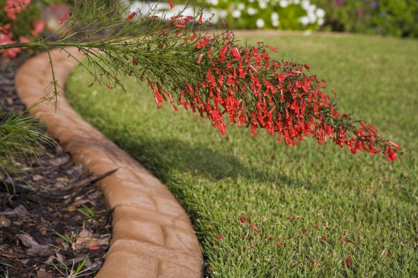 Brick Edging in Edmond