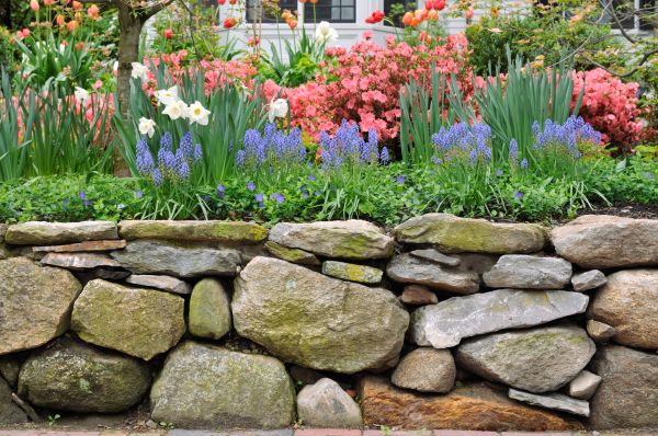 Stone Wall Hardscaping in Edmond